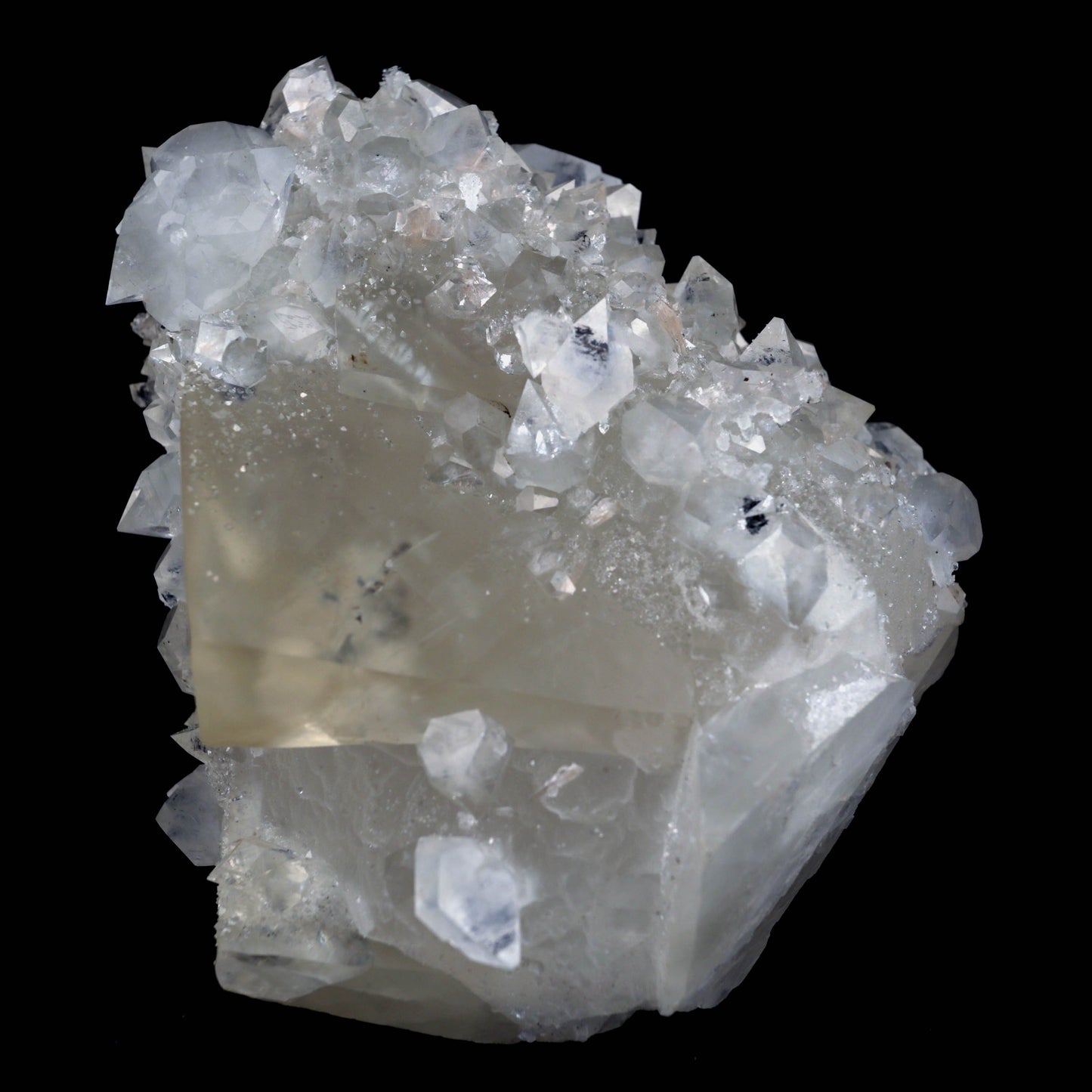 Pseudo Calcite with Apophyllite Natural Mineral Specimen # B 4632  https://www.superbminerals.us/products/pseudo-calcite-with-apophyllite-natural-mineral-specimen-b-4632  Features: Truly exceptional combination piece with with one of the finest Indian Calcites, lustrous Apophyllite. The centerpiece Calcite is a stunning on the front edge, with superb luster and excellent gemminess. The front edge is also the main twinning plane. What makes the Calcite itself even more exceptional 