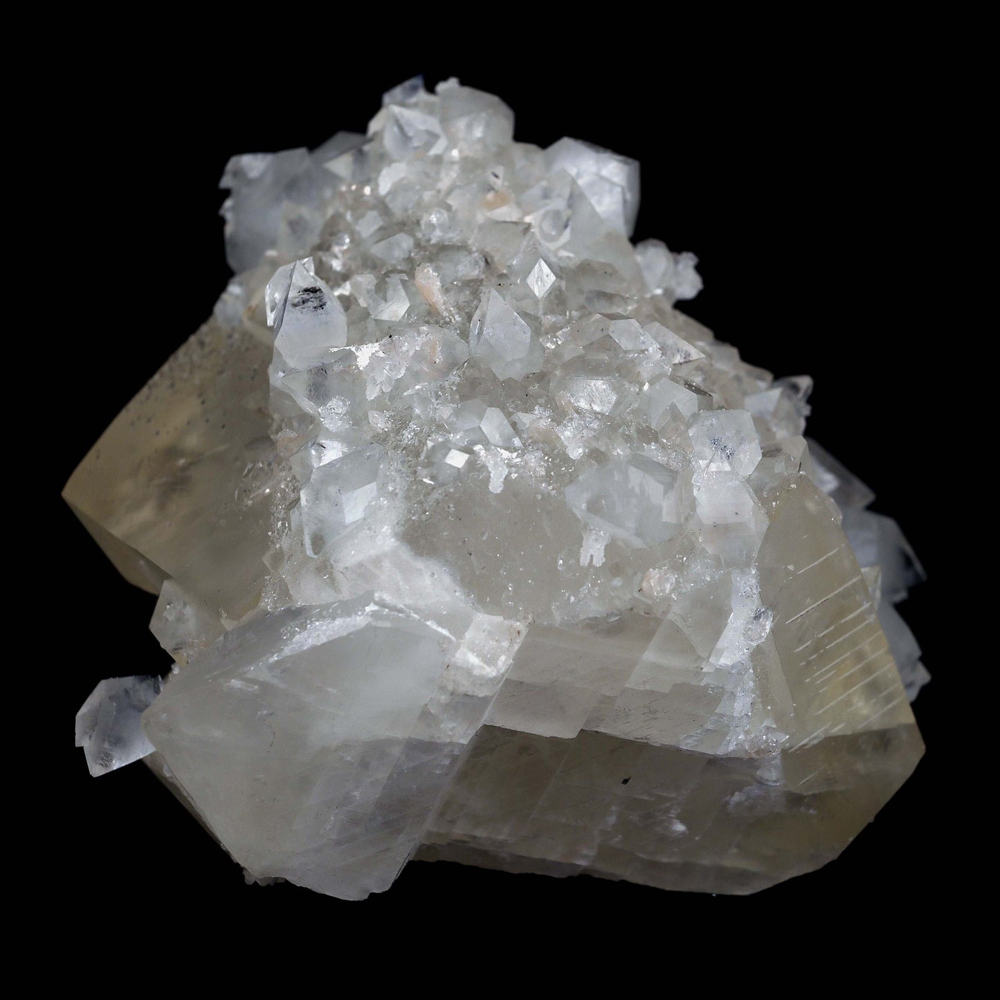 Pseudo Calcite with Apophyllite Natural Mineral Specimen # B 4632  https://www.superbminerals.us/products/pseudo-calcite-with-apophyllite-natural-mineral-specimen-b-4632  Features: Truly exceptional combination piece with with one of the finest Indian Calcites, lustrous Apophyllite. The centerpiece Calcite is a stunning on the front edge, with superb luster and excellent gemminess. The front edge is also the main twinning plane. What makes the Calcite itself even more exceptional 