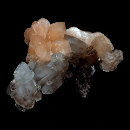 Terminated Stilbite with Apophyllite Natural Mineral Specimen # B 480…  https://www.superbminerals.us/products/terminated-stilbite-with-apophyllite-natural-mineral-specimen-b-4802  Features: Beautiful, classic salmon-pink, iridescent, translucent stilbite blades form a dramatic and sculptural huge two-sided specimen from Jalgaon, with sprakling Apophyllite crystals.The huge doubly ended bowtie on the back is eye-catching. The wormy, green celadonite-infused chalcedony matrix 